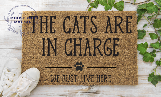 The Cats are in charge